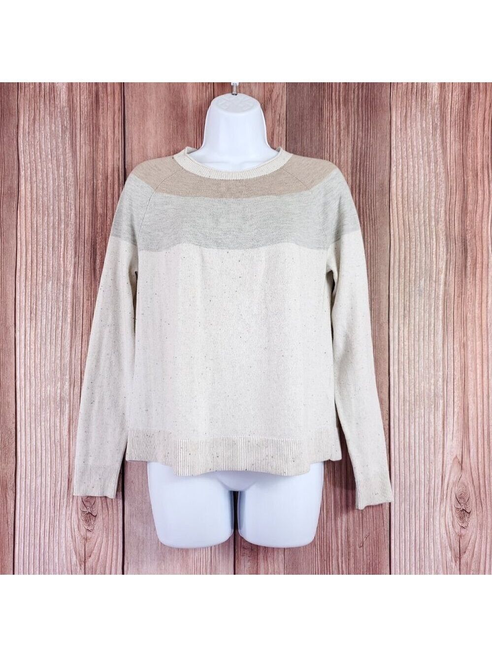Smartwool Womens Size Small Edgewood Colorblock Crew Sweater Pullover SW016649